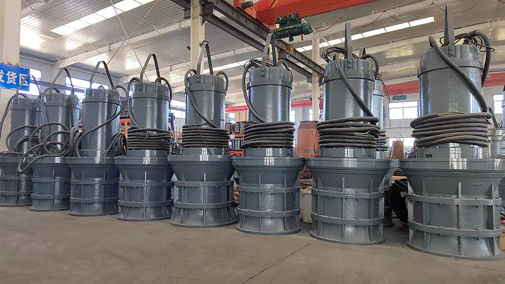 Submersible axial flow pumps များကို တပ်ဆင်မှုရွေးချယ်စရာအမျိုးမျိုးဖြင့် စိတ်ကြိုက်ပြုလုပ်နိုင်ပါသည်။